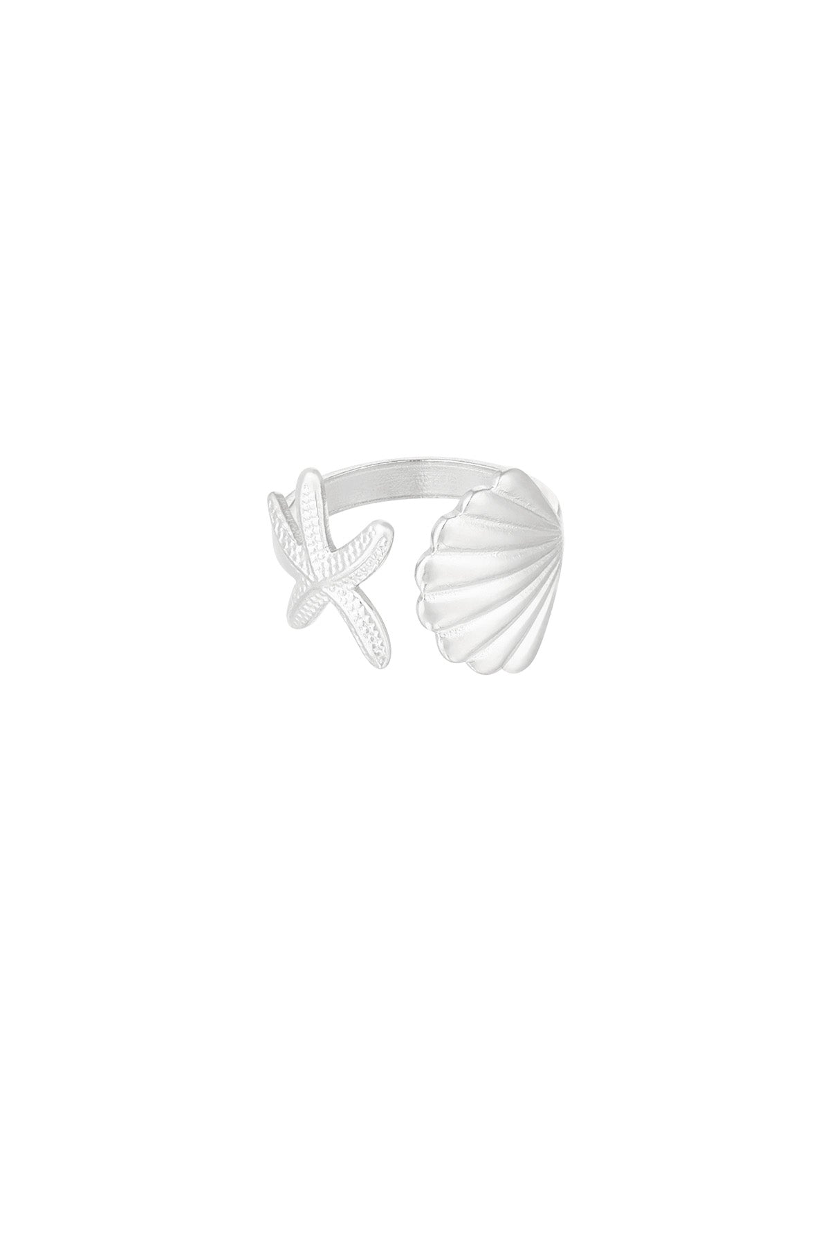 anello vibrazioni di conchiglia